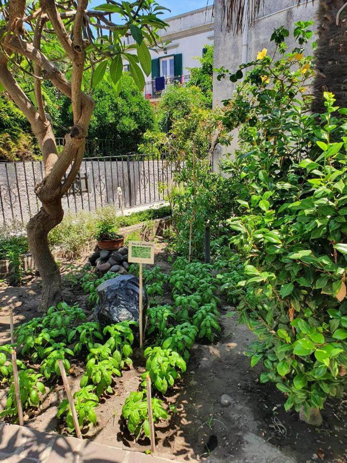 Villa Casa Dafne Città di Lipari Esterno foto